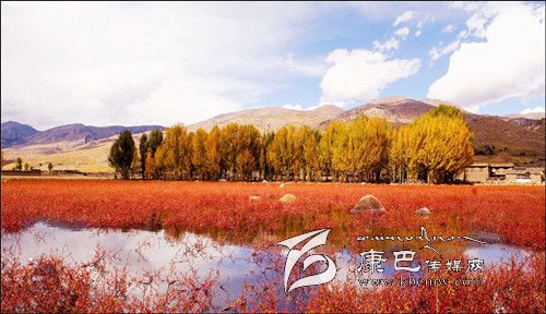 稻城亞?。?一個美得驚世駭俗的地方