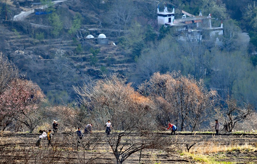 鉚足“?！眲鸥髅? onload=