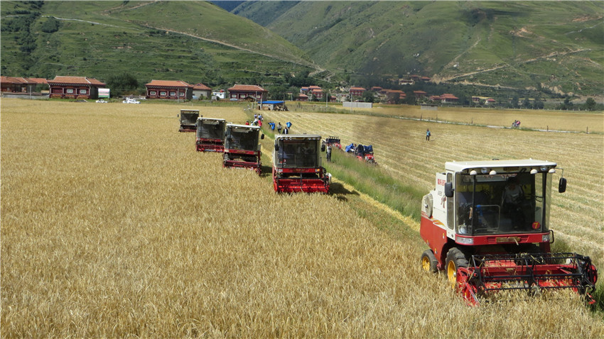 聯(lián)合收割機(jī)正.jpg 聯(lián)合收割機(jī)正.jpg