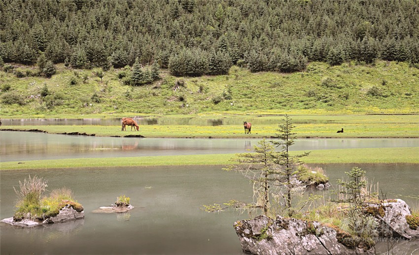 去甘孜 邂逅絕美湖泊海子！